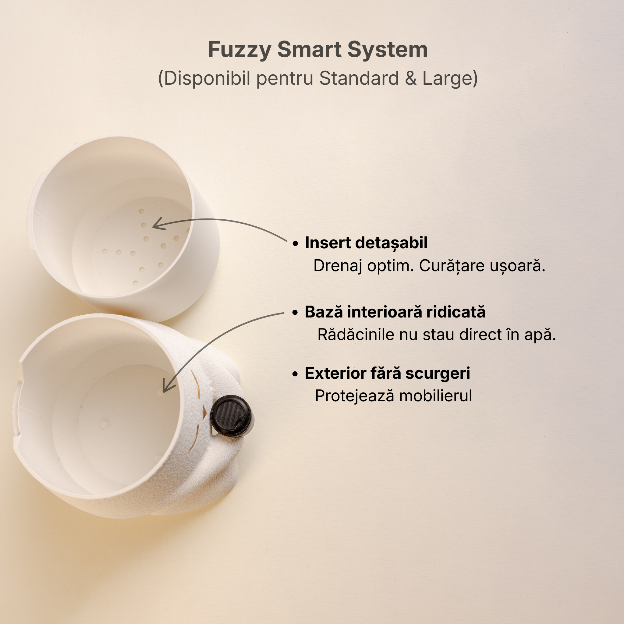 Ghiveci Fuzzy (Coffee Mode)