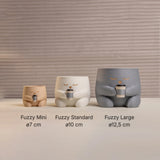 Ghiveci Fuzzy (Coffee Mode)