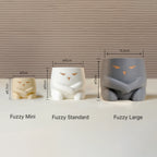 Ghiveci Fuzzy (Judge Mode)