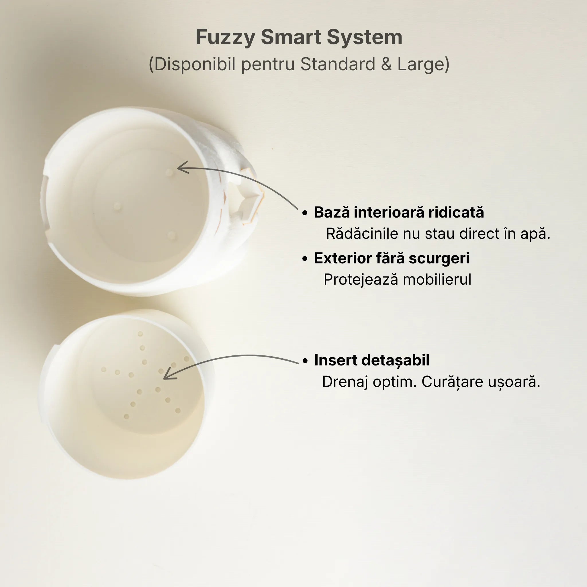 Ghiveci Fuzzy (Reader Mode)