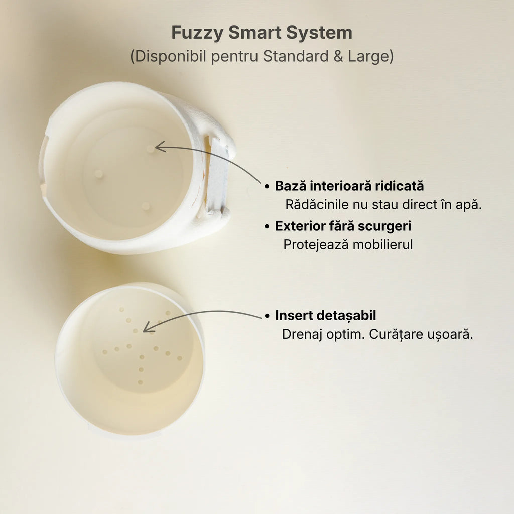 Ghiveci Fuzzy (Story Mode)
