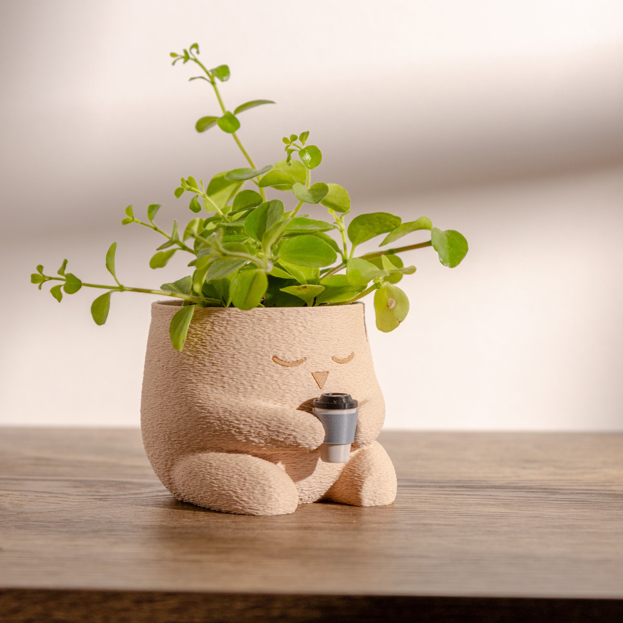 ghiveci mini pentru plante mici compatibil nursery 6-7 cm