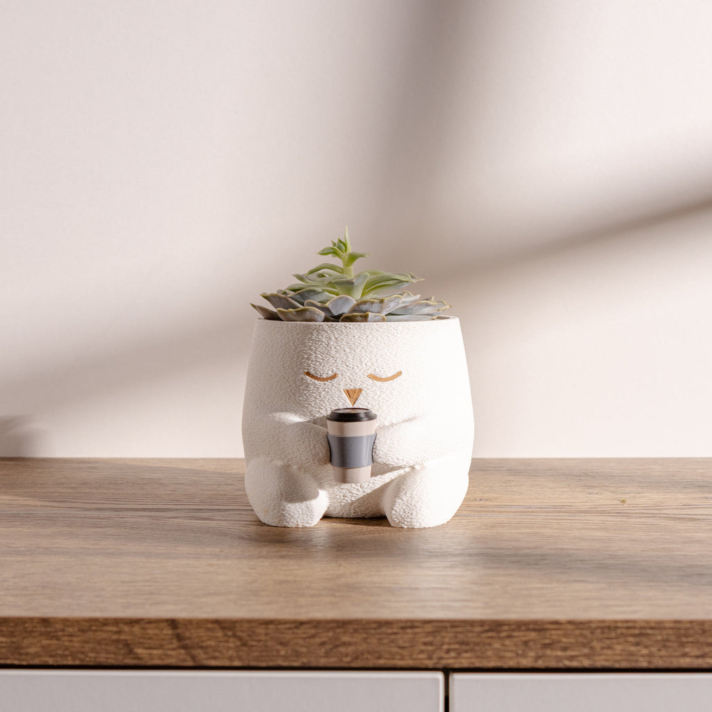 insert detasabil drenaj ghiveci fuzzy planter