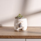 insert detasabil drenaj ghiveci fuzzy planter